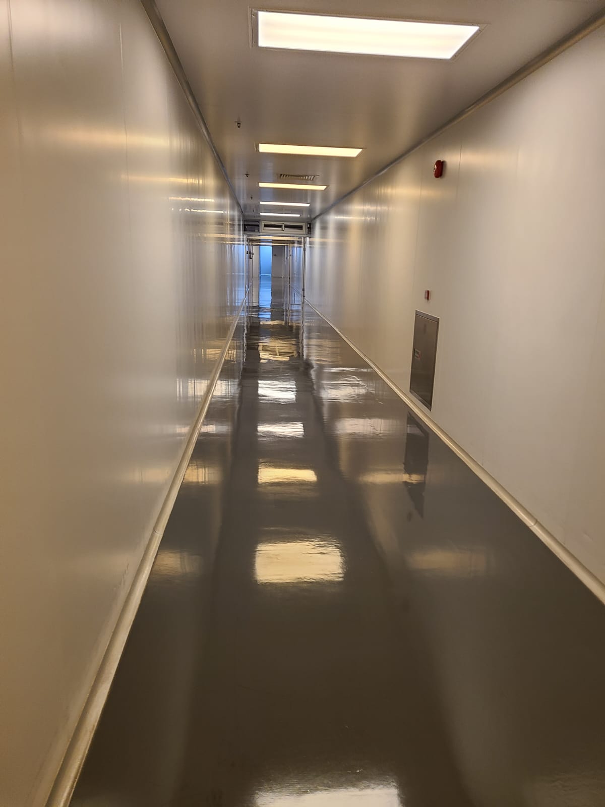 公司秘書服務