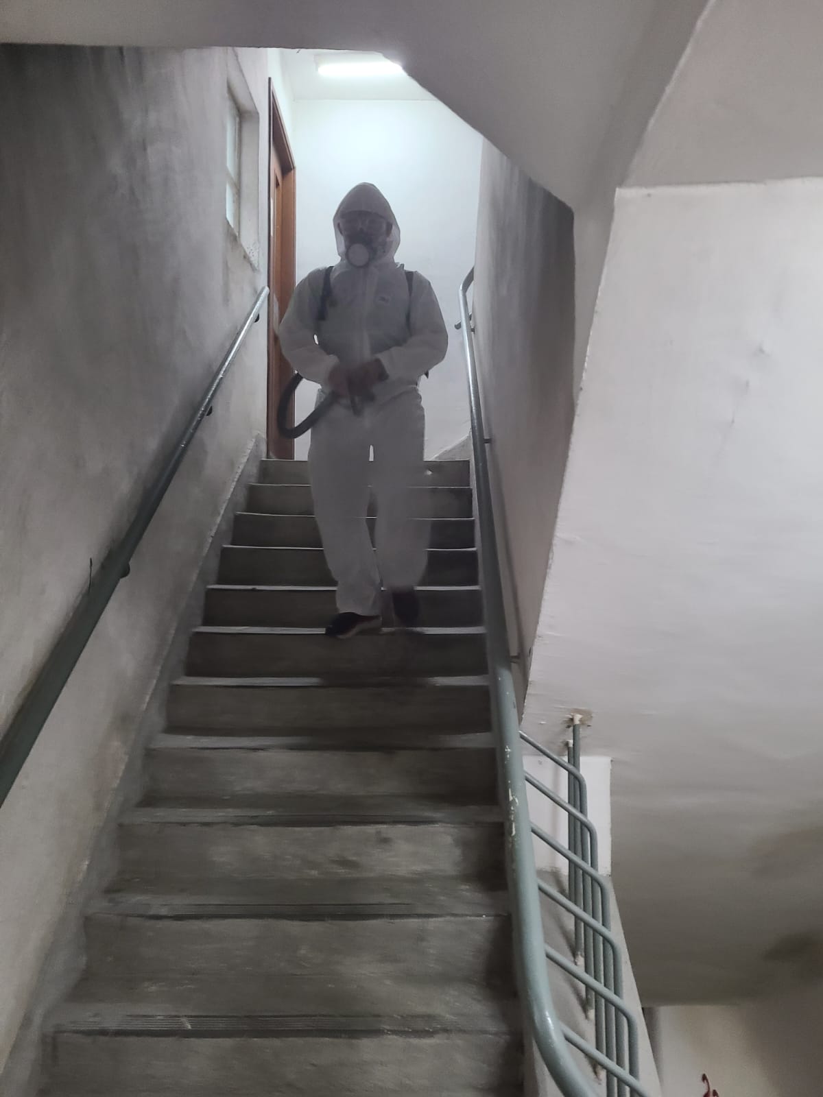 公司秘書服務